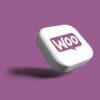 CloudWebStack WooCommerce Store Setup